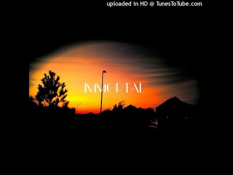 Immortal - TheSuperMarioBros2 (TSMB2) ft. Plumato (who btw is a dumbass!!!)