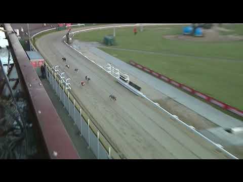 2019 CESAREWITCH - HEAT 2 - T3 BURGESS HONEY