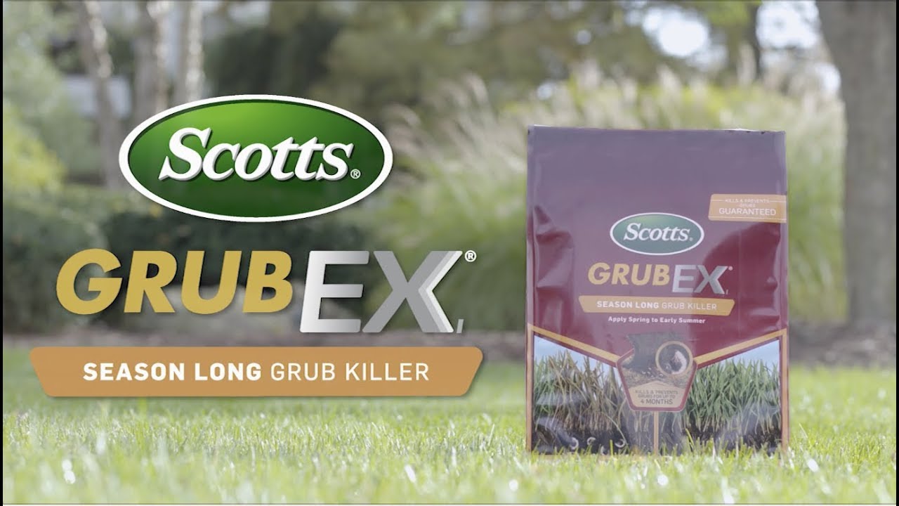 What is the difference between GrubEx and GrubEx1? Tipseri