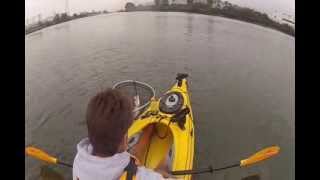 preview picture of video 'Pink salmon kayak fishing on the lower Green River, WA.'