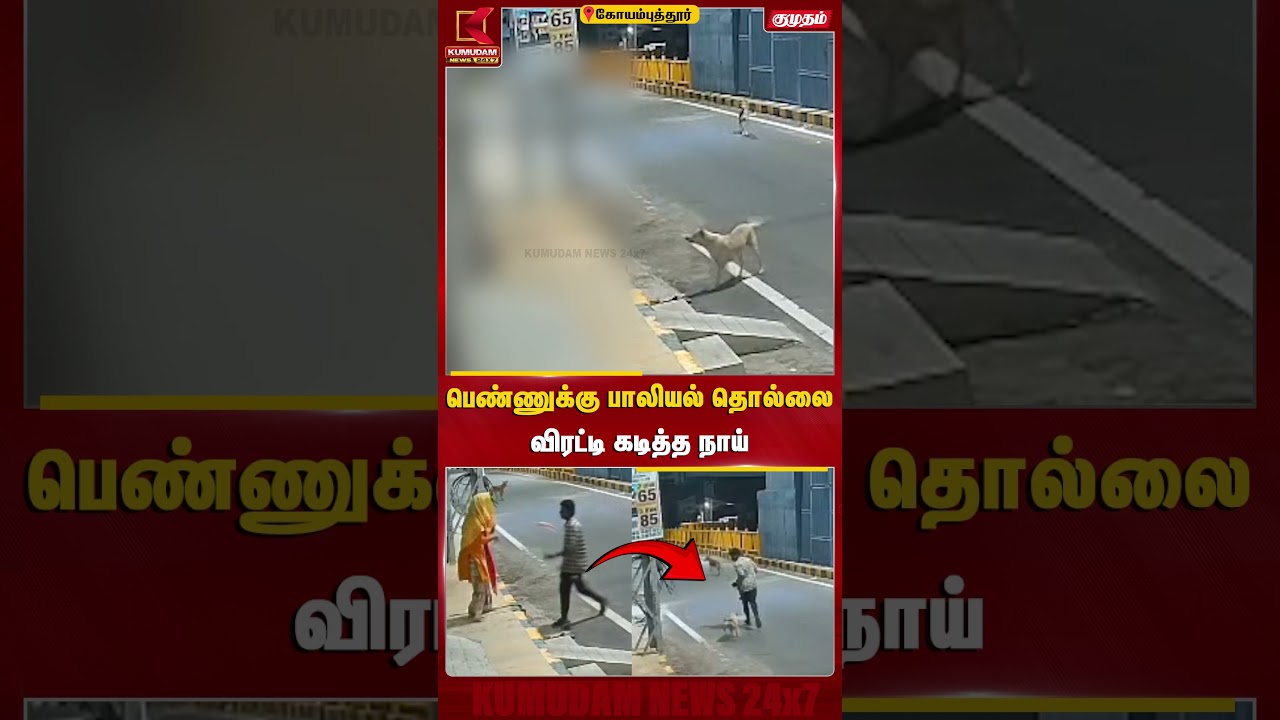 பெண்ணுக்கு பாலியல் தொல்லைவிரட்டி கடித்த நாய் | Coimbatore | Kumudam News