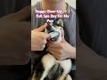 Doggy Glow Up Full Spa Day For My Pup CleanAndCute Petcare