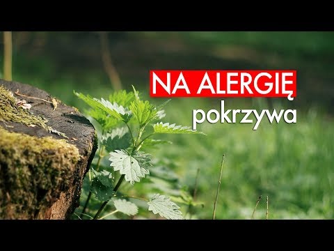 Leki na impotencję Głóg potencja przepis