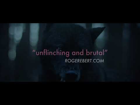 afbeelding Violation - Trailer