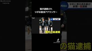 #壺浅 #ツボる #放送事故 #ニュース #猫#ネコ#逮捕