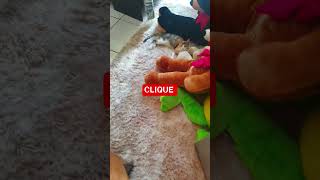 tapete felpudo várias cores #tapete #decoração