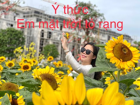 Ý thức em mặt trời tỏ rạng - Lệ Hồng