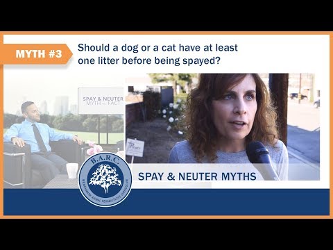 Spay/Neuter Myth#3: A Dog or Cat Should have a Litter Before Being Spayed | B.A.R.C.