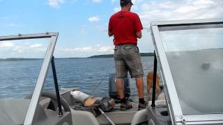 preview picture of video 'Ottawa River Catfish Fun'