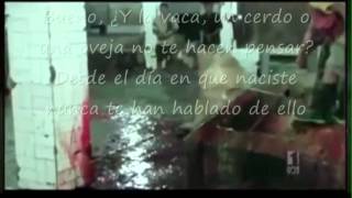 meat means murder- conflict- subtitulos español