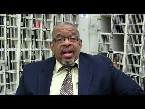 James Ross @ Fred Wesley - "The Chicken" - (Mark Brooks on Bass) - www.Jross-tv.com