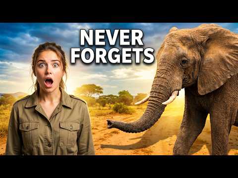 The Elephant NEVER Forgets — And Science Finally Knows Why