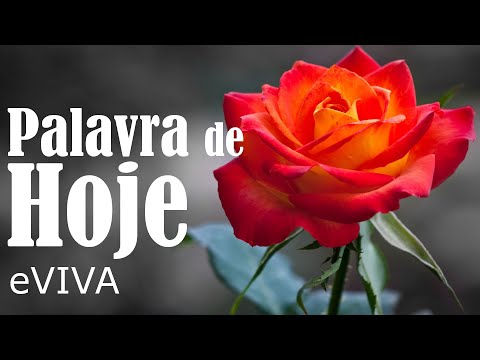 WORD OF THE DAY SEPTEMBER 6, 2023 | DAILY DEVOTIONAL | MOTIVATIONAL AND LIFE REFLECTION eVIVA