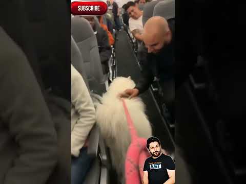 let's go for a walk #viral #shorts