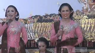 Download lagu manjane sinden Mimin bila ketemu dalang Seno, gae kemekel terus mp3