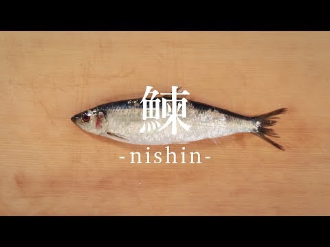 鰊（にしん）のさばき方 - How to filet Clupea pallasii -｜日本さばけるプロジェクト（海と日本プロジェクト）