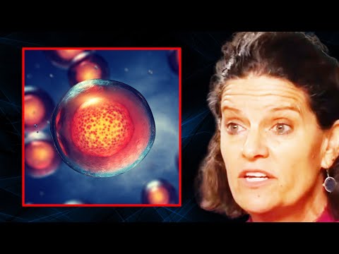 FAST THIS WAY to Produce New STEM CELLS | Dr. Mindy Pelz