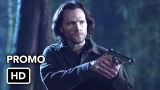 14.16 - Don't go in the woods (promo)
