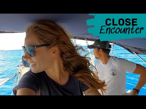 UNEXPECTED encounter with WHALES! [EP 127]