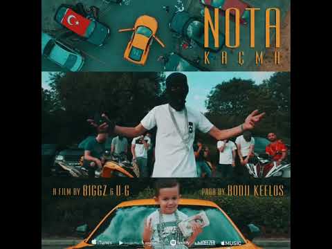 🎶♬🔱NOTA🔱DODO🔱♬🎶