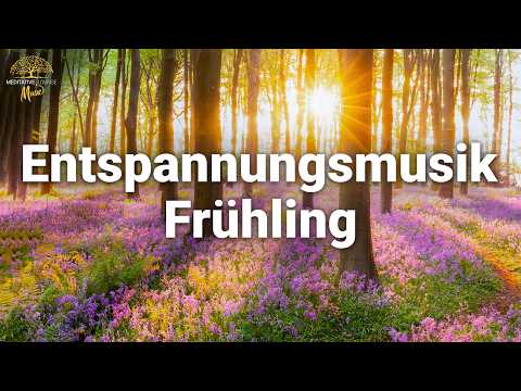 Frühling Entspannungsmusik | Vogelgezwitscher, Waldgeräusche, Klavier | Frühlingsmusik