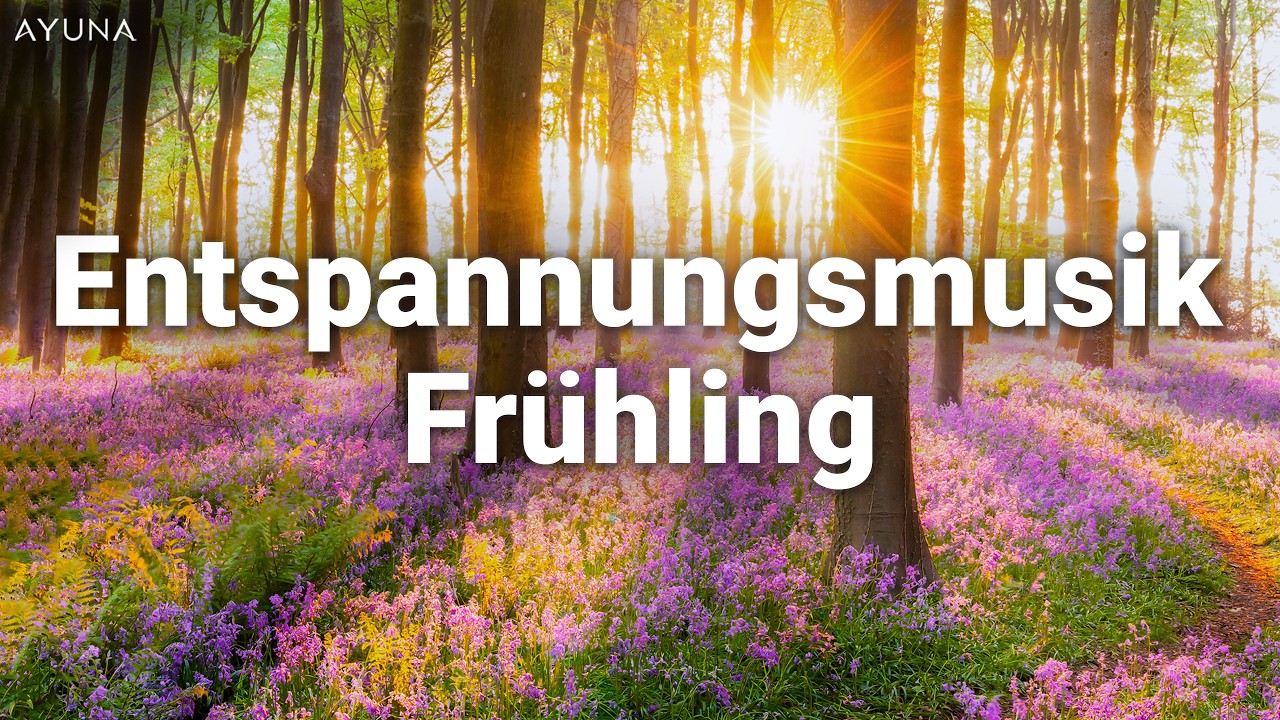 Frühling Entspannungsmusik | Vogelgezwitscher, Waldgeräusche, Klavier | Frühlingsmusik