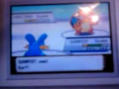 Level 100 Swampert!!!