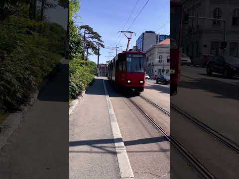 Tram of Belgrade #serbia #trams #travel #1minutevideo ##belgrade #viralshort