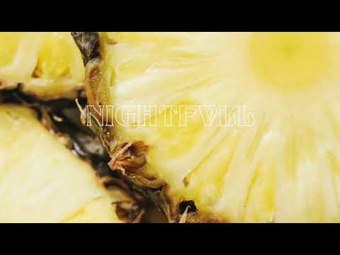 Khalid x Post Malone Type Beat | “Surf” |