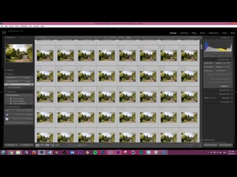 YouTube video about: How to copy lightroom edits to another photo?