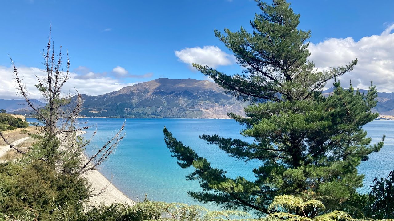 Experience a captivating glimpse of Hawea River Track.
