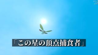 そういえば俺セミになりたかったんだ