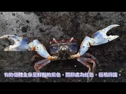 ☺ 圖片待補 ☺
