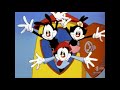 Animaniacs Intro Dutch 2014 Vs Danish