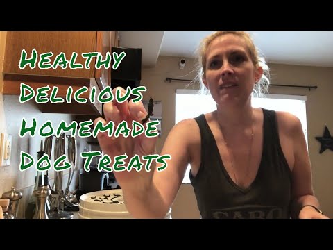 Healthy Delicious Dog Treats Homemade 3 Ingredients Green Beans