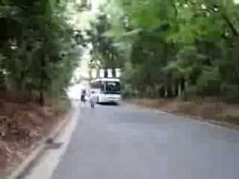 2013.08.21. The meiji jingu temple.