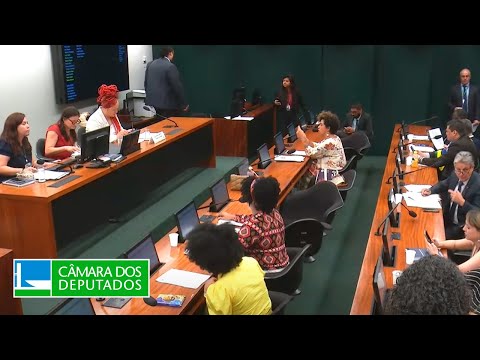 Direitos Humanos, Minorias e Igualdade Racial - Discussão e votação de propostas - 11/12/2024