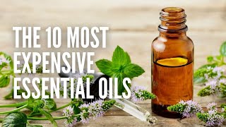 Top 10 Most Expensive Essential Oils in the World