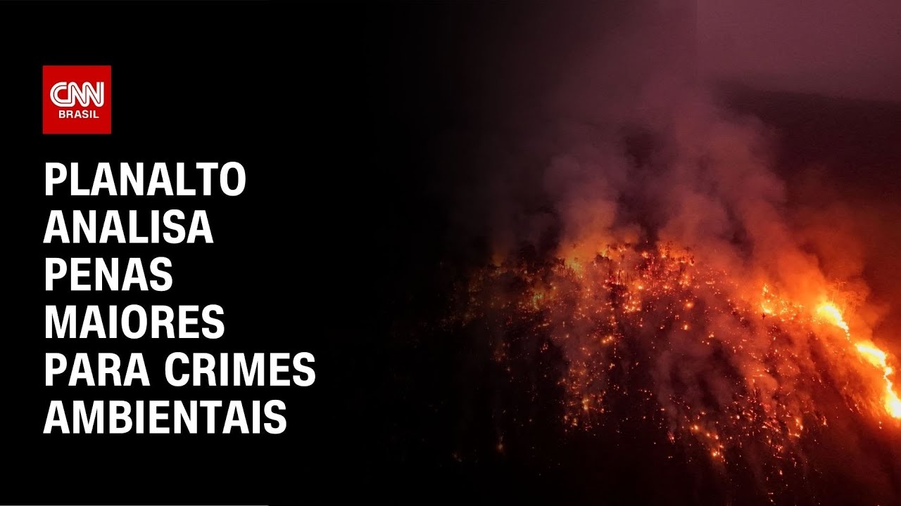 Planalto analisa penas maiores para crimes ambientais | CNN NOVO DIA