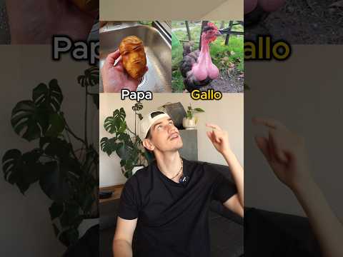 Animals in SPANISH Should NOT Be Taken LITERALLY💀