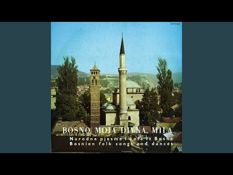 Pošetala Suljagina Fata