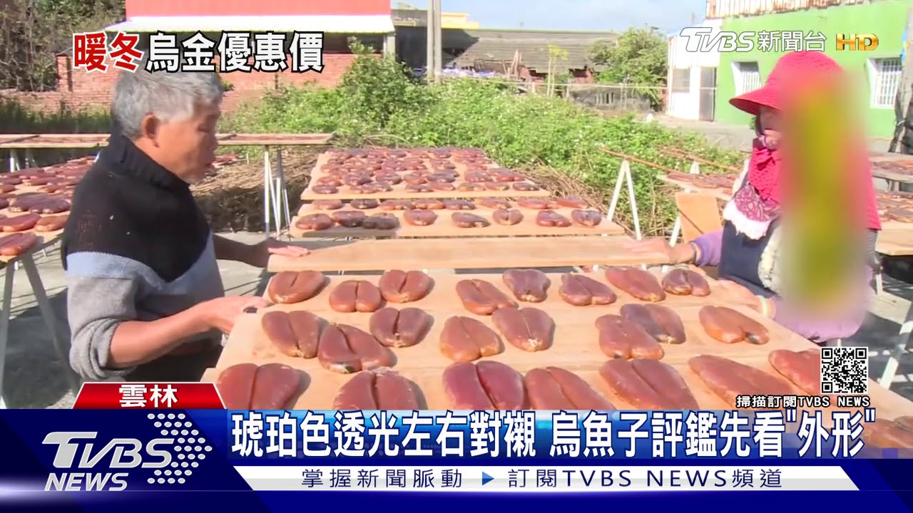 琥珀色透光左右對襯　烏魚子評鑑先看「外形」