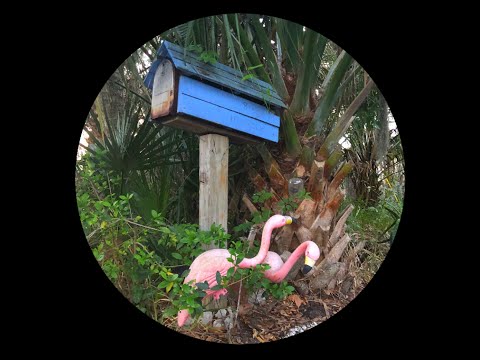 Flamingosis - Mood Provider Vol. 4 (Full Mixtape)