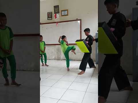 #shortviral #shortsyoutube #pencaksilat #shortvideo #silat #silat #silat #psht #viral #olahraga