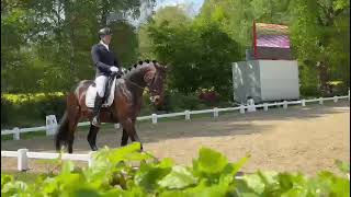 Reitturnier Samern 2023