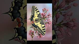 &quot;El Palacio Del Rey&quot;