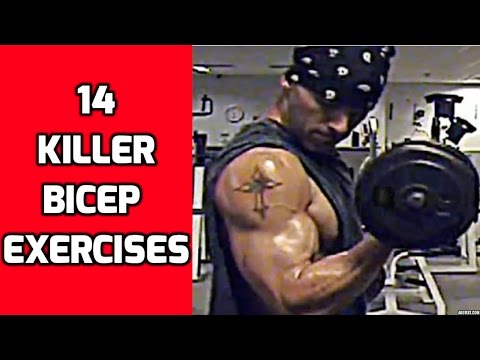 download lagu mp3 mp4 Biceps Exercise Name List, download lagu Biceps Exercise Name List gratis, unduh video klip Biceps Exercise Name List