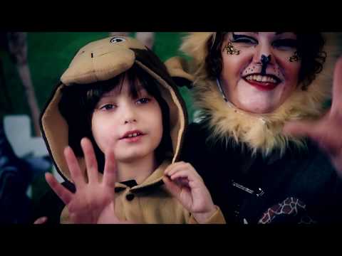 Absolute Motion Video video.