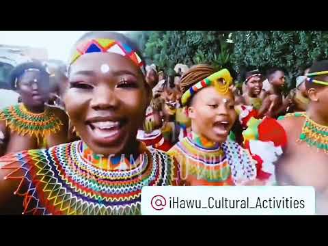 The Zulu Reed Dance