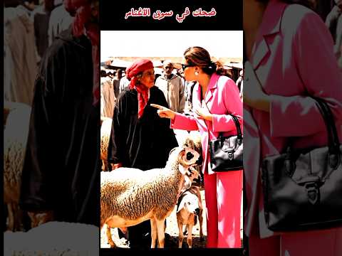 ضحك في سوق الأغنام. #دويتو #هتضحك #اكسبلور #كوميديات #الاجسام #fishing
